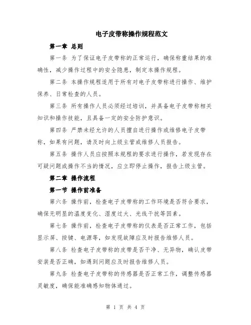 电子皮带称操作规程范文