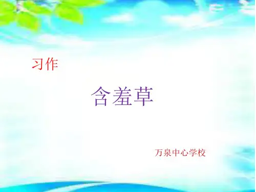 含羞草观察 PPT课件