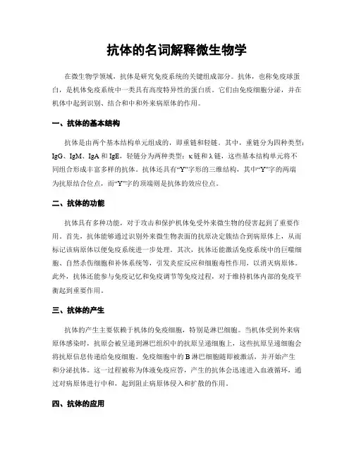 抗体的名词解释微生物学