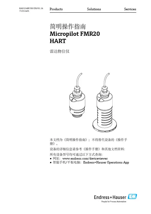 Micropilot FMR20 HART 雷达物位仪简明操作指南说明书