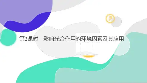 一轮复习人教版第2课时影响光合作用的环境因素及其应用课件