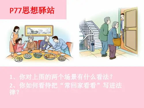 遵守法律规则PPT课件 北师大版