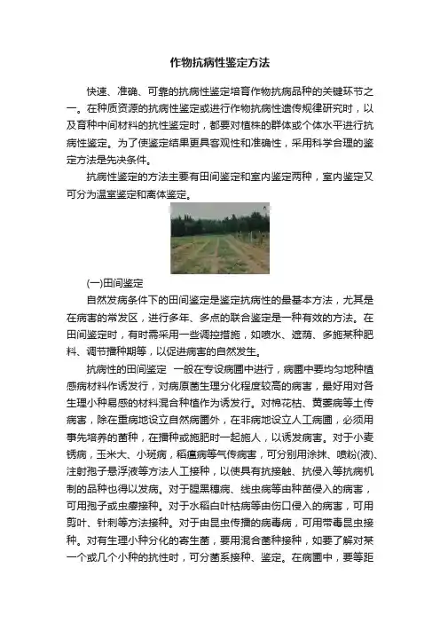 作物抗病性鉴定方法