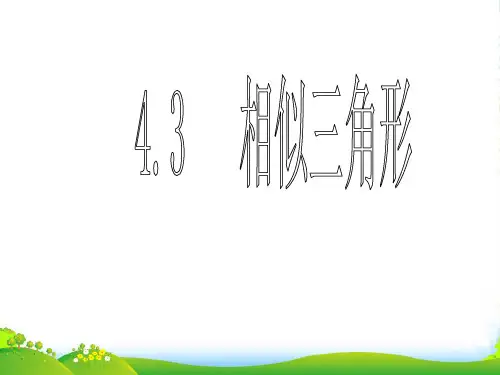 新浙教版九年级数学上册《 相似三角形》课件