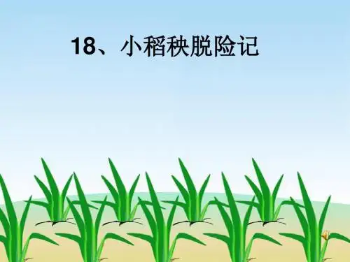 18小稻秧脱险记2