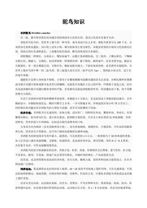 驼鸟知识(1)