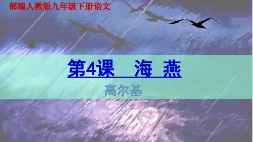 最新版九年级语文部编版下册《海燕》(29页)ppt精品课件