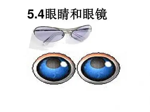 初中物理《眼睛和眼镜》(共25张)ppt24