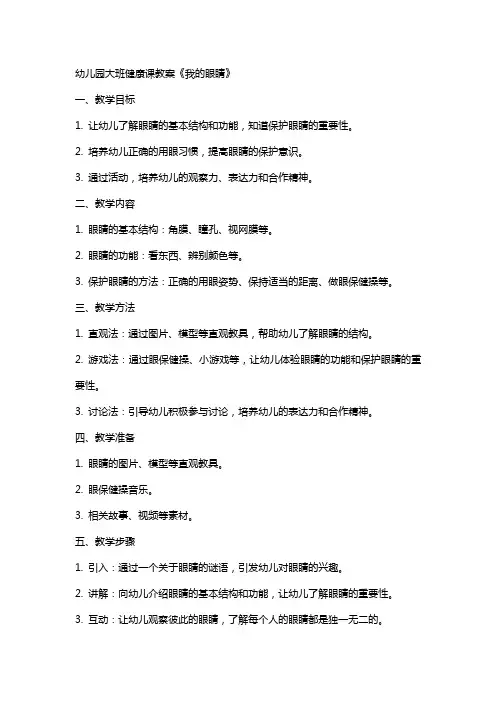 幼儿园大班健康课教案《我的眼睛》