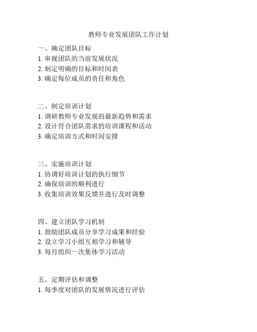 教师专业发展团队工作计划