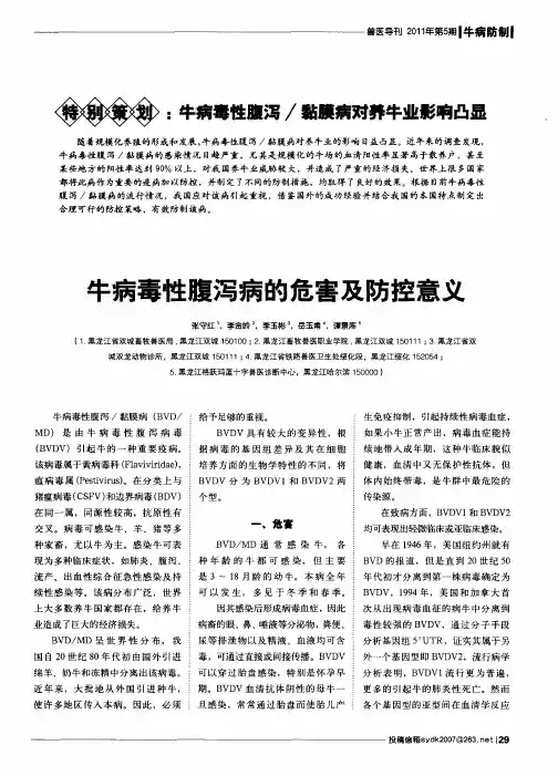 牛病毒性腹泻／黏膜病对养牛业影响凸显——牛病毒性腹泻病的危害及防控意义