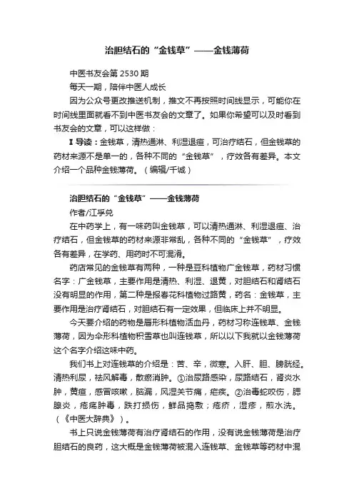 治胆结石的“金钱草”——金钱薄荷