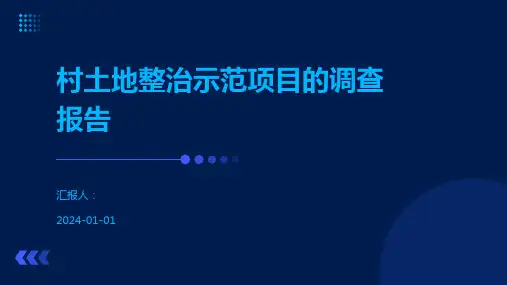 村土地整治示范项目的调查报告