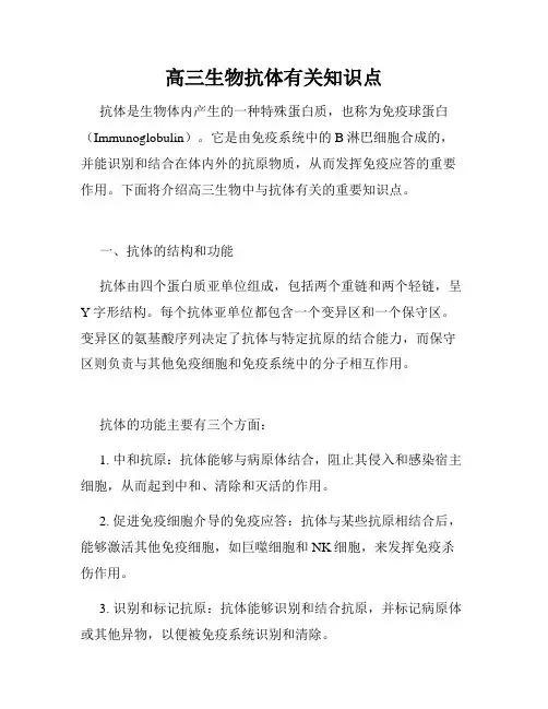 高三生物抗体有关知识点
