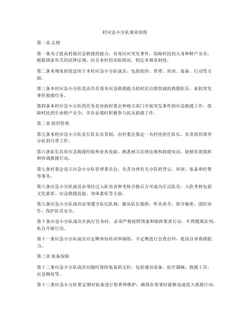 村应急小分队规章制度