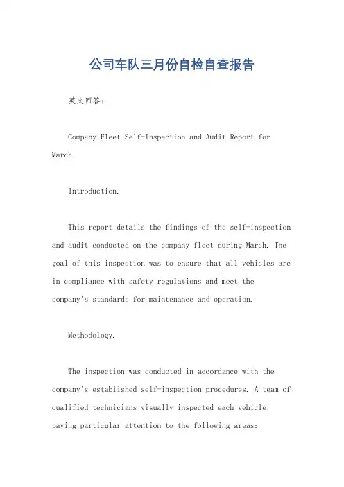 公司车队三月份自检自查报告