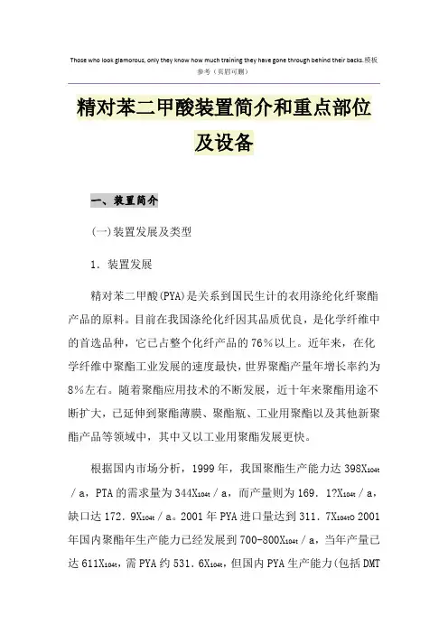 精对苯二甲酸装置简介和重点部位及设备