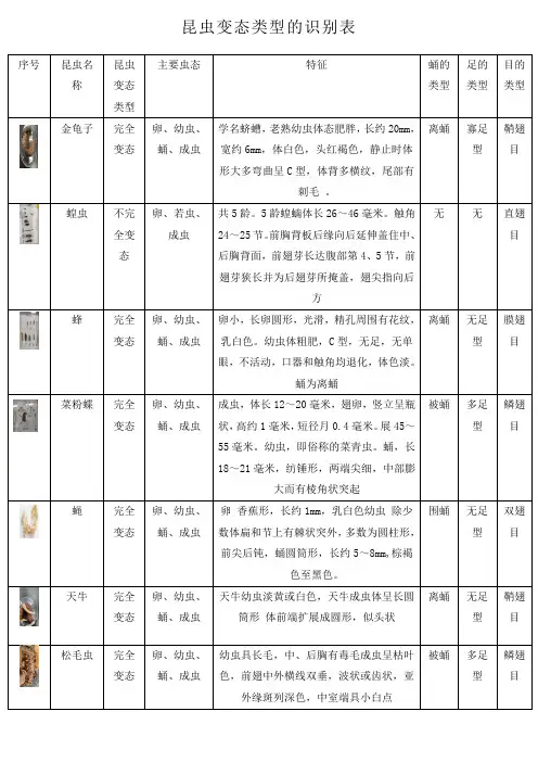 昆虫变态类型的识别表