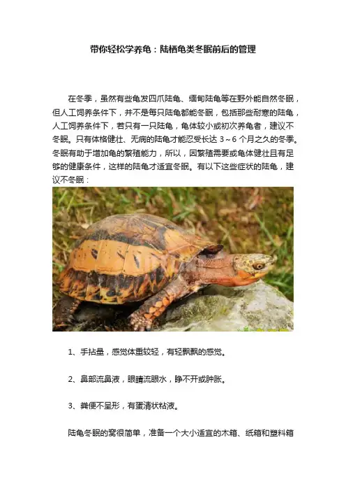 带你轻松学养龟：陆栖龟类冬眠前后的管理