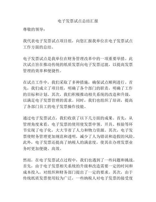 电子发票试点总结汇报