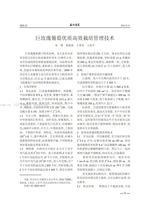 巨玫瑰葡萄优质高效栽培管理技术
