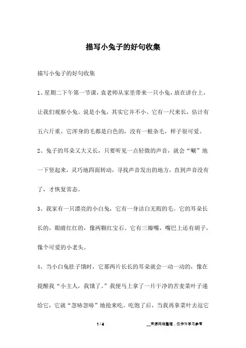 描写小兔子的好句收集