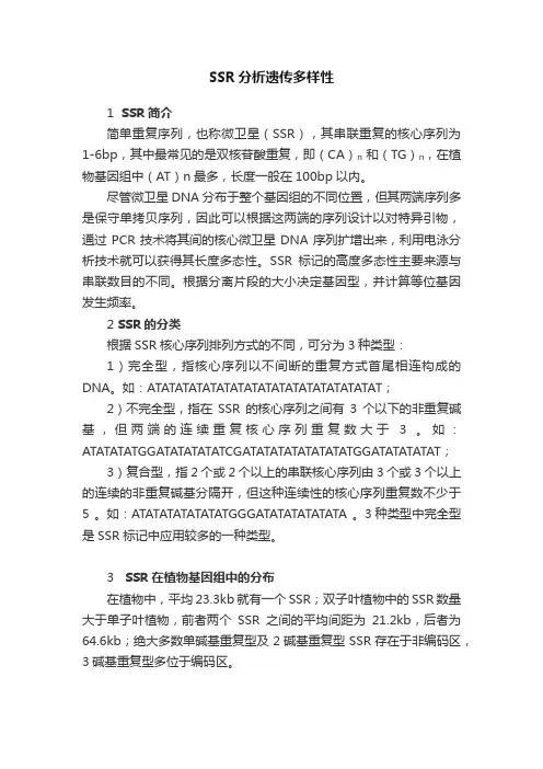 SSR分析遗传多样性