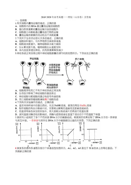 2019-2020年高考真题——理综(山东卷)含答案