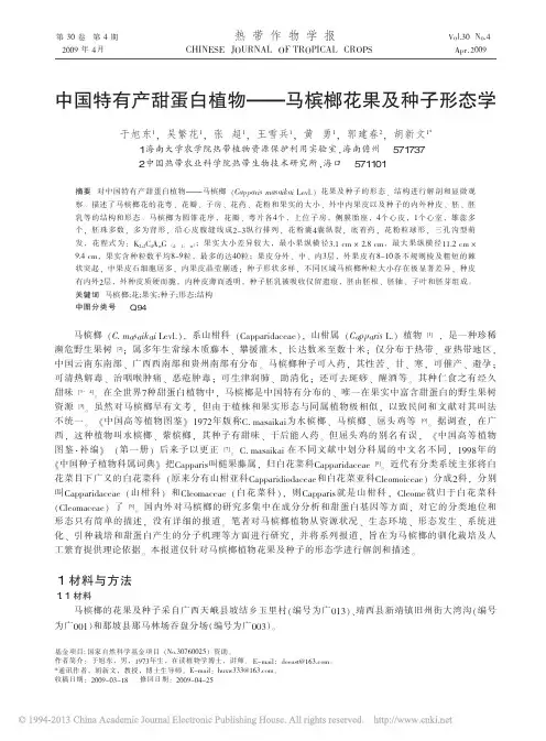 中国特有产甜蛋白植物_马槟榔花果及种子形态学_于旭东