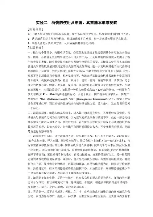 油镜的使用及细菌、真菌基本形态观察实验报告