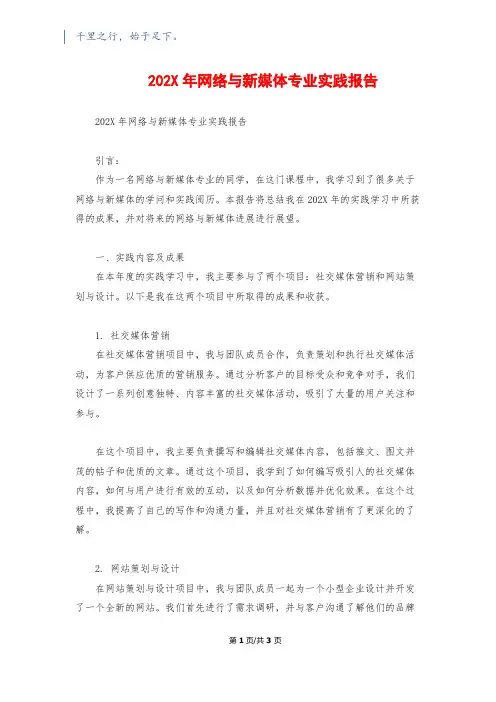 202X年网络与新媒体专业实践报告