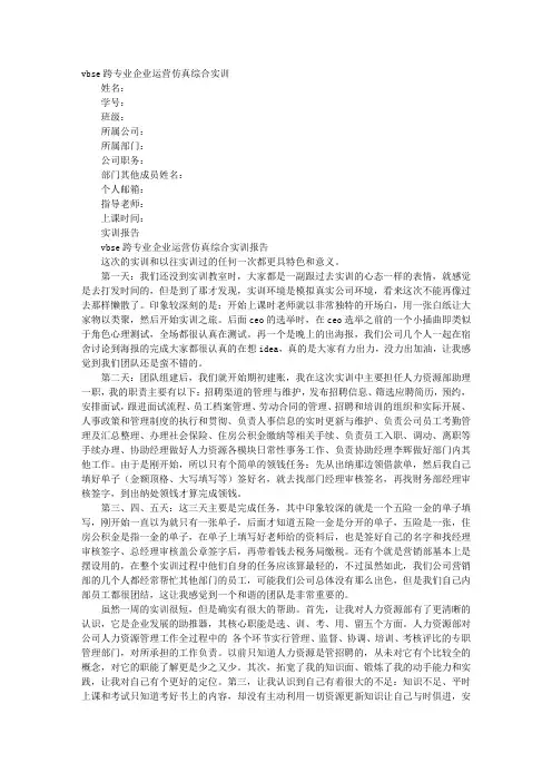 VBSE实训报告