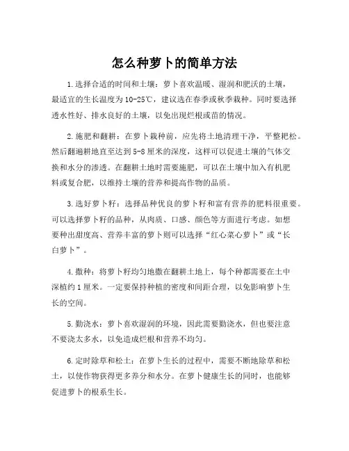 怎么种萝卜的简单方法