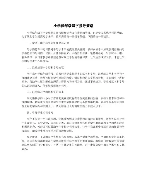 小学低年级写字指导策略