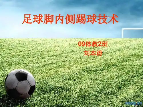 说课  脚内侧踢球 ppt