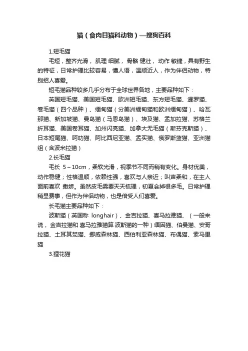 猫（食肉目猫科动物）—搜狗百科