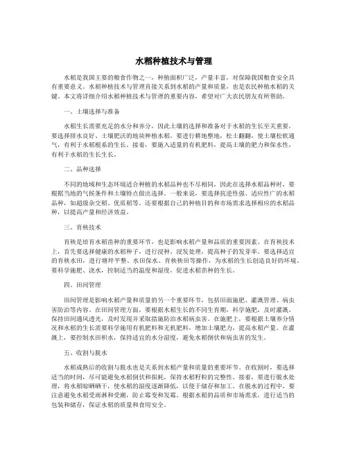 水稻种植技术与管理