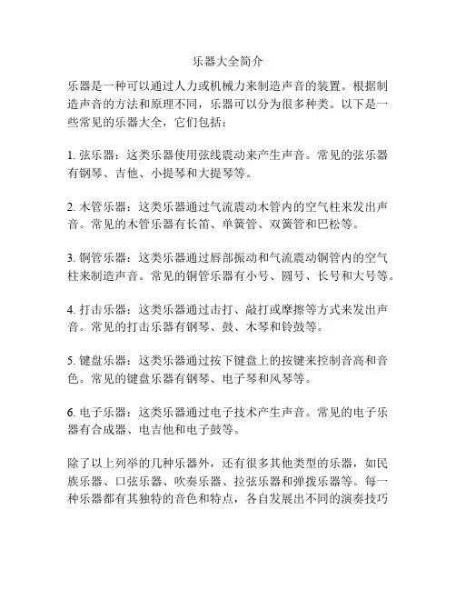 乐器大全简介