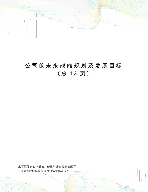 公司的未来战略规划及发展目标