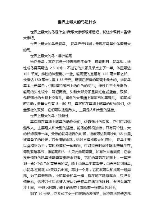 世界上最大的鸟是什么