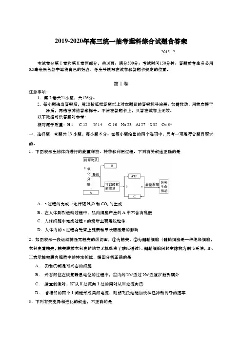 2019-2020年高三统一抽考理科综合试题含答案.doc