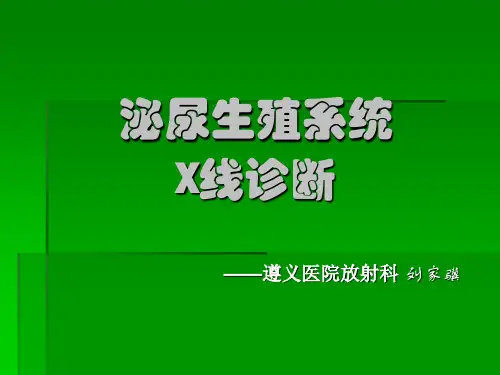 泌尿生殖系统X线诊断