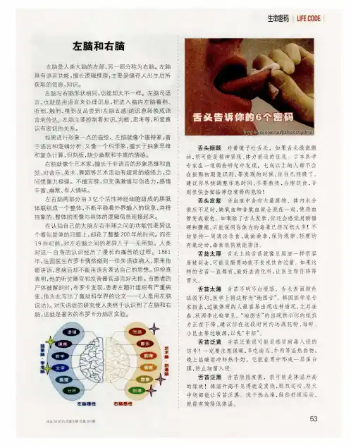 左脑和右脑