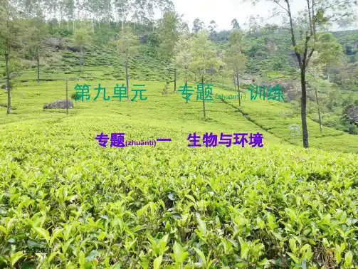 中考生物总复习专题一生物与环境