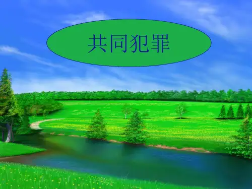 共同犯罪