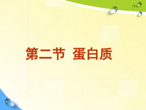 《蛋白质》PPT课件