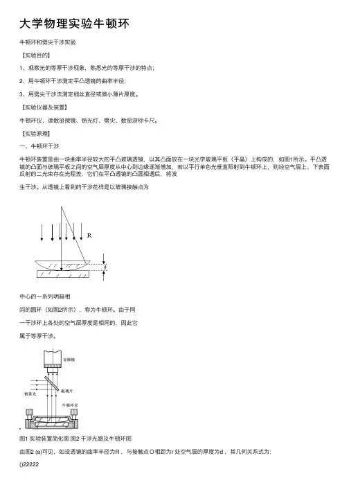 大学物理实验牛顿环