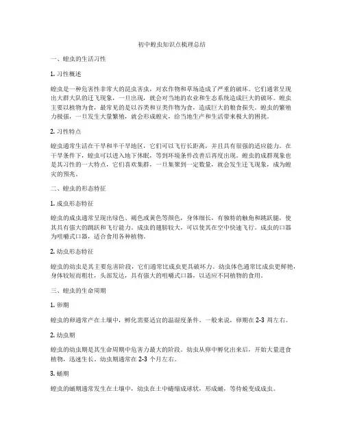 初中蝗虫知识点梳理总结
