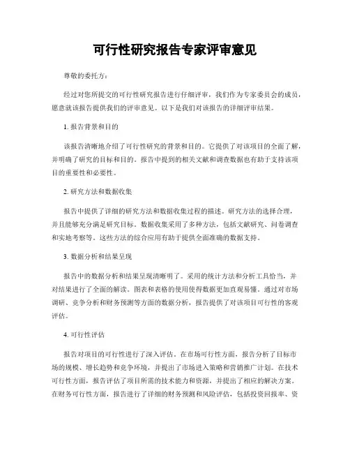 可行性研究报告专家评审意见