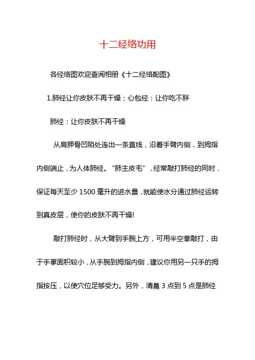 十二经络功用